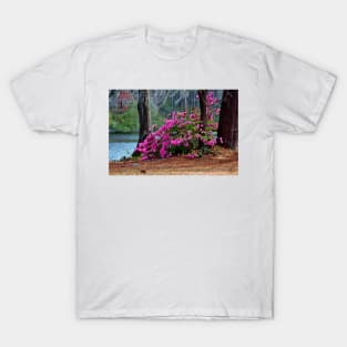 Spring By The Lake T-Shirt